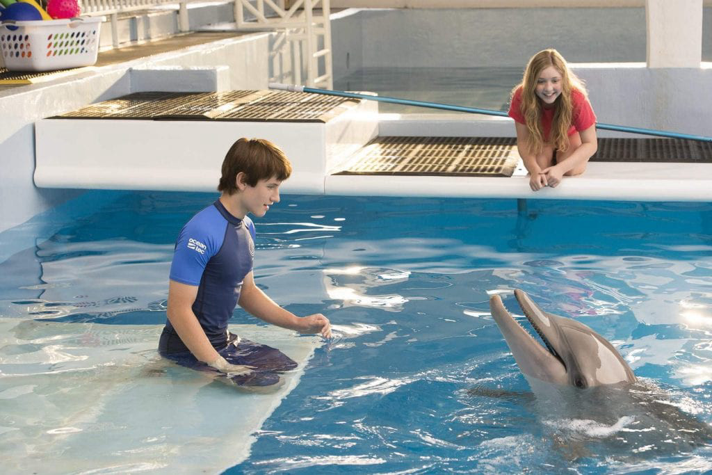 Câu Chuyện Cá Heo Dolphin Tale