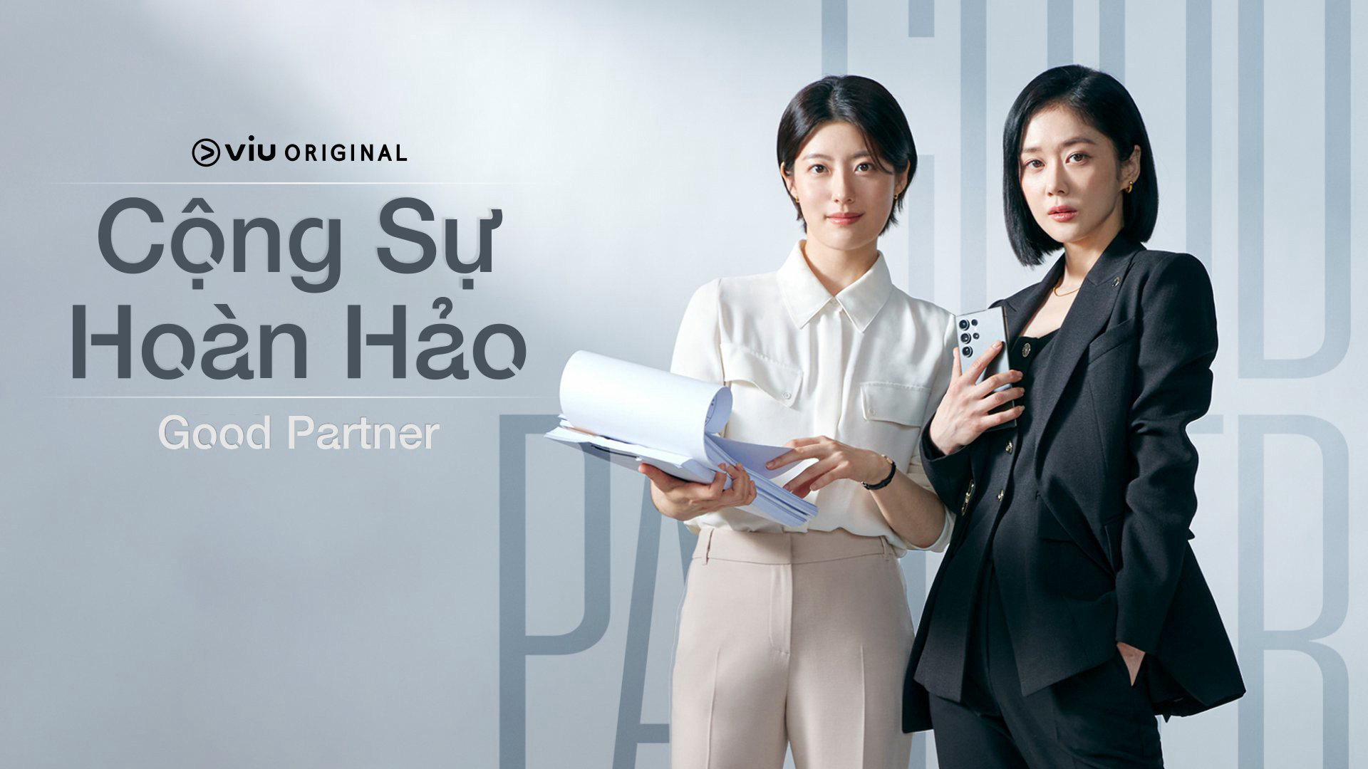 Cộng Sự Hoàn Hảo - Good Partner