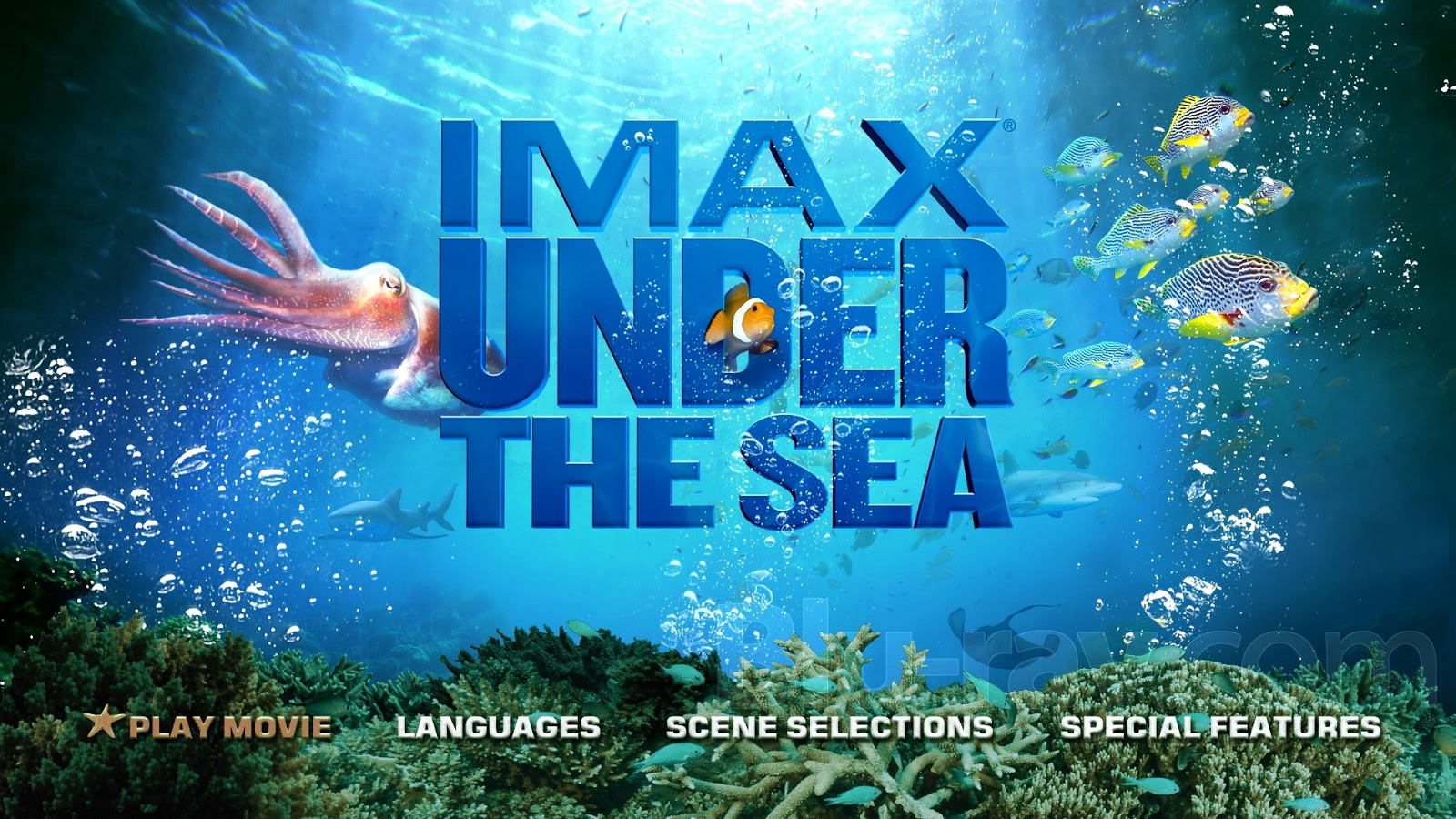 Dưới Lòng Đại Dương Under the Sea 3D