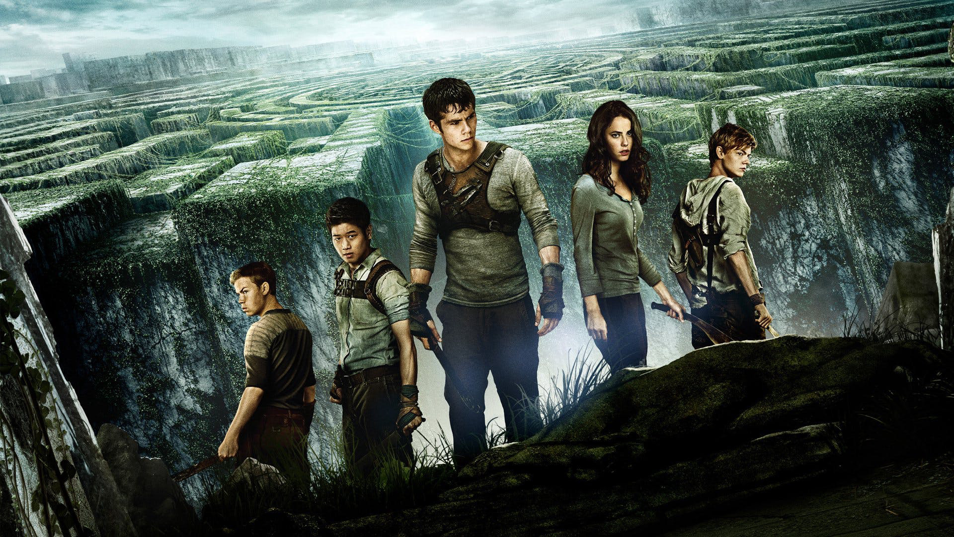 Giải Mã Mê Cung The Maze Runner