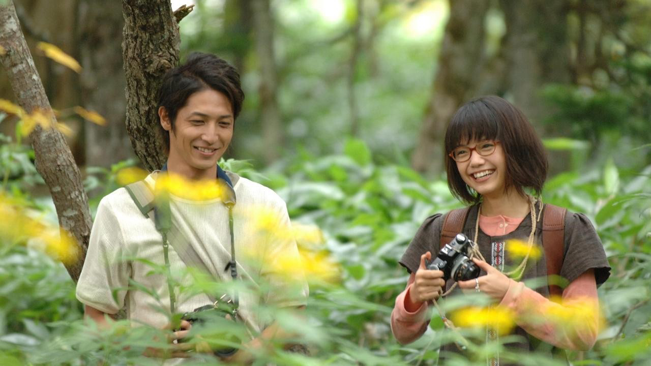 Khi Yêu Heavenly Forest