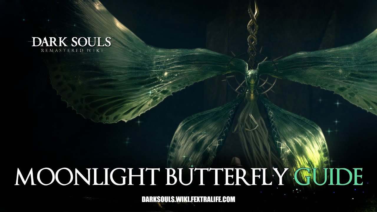 Moonlight Butterfly Moonlight Butterfly