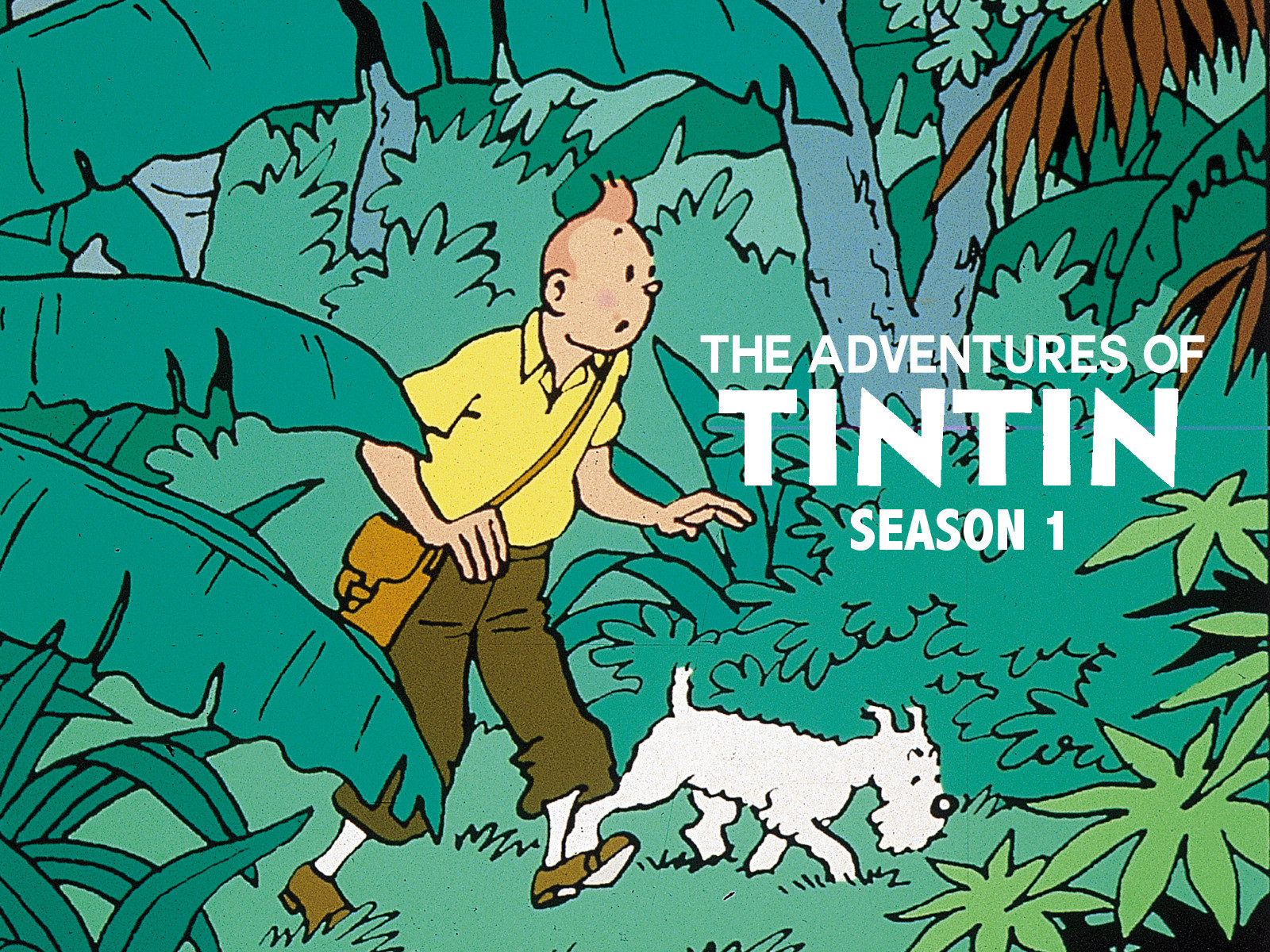 Những Cuộc Phiêu Lưu Của Tintin: Phần 1 - The Adventures of Tintin (Season 1)