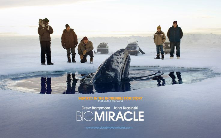 Phép Màu Big Miracle