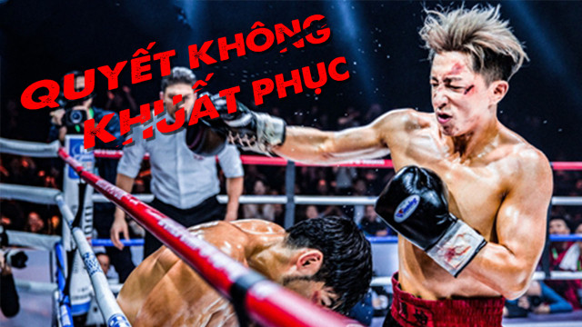 Quyết Không Khuất Phục  Knockout