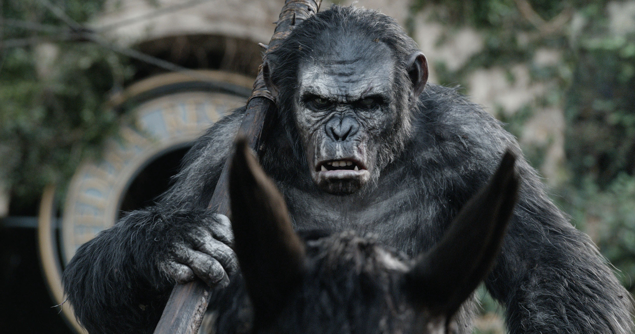 Sự Khởi Đầu Của Hành Tinh Khỉ Dawn of the Planet of the Apes